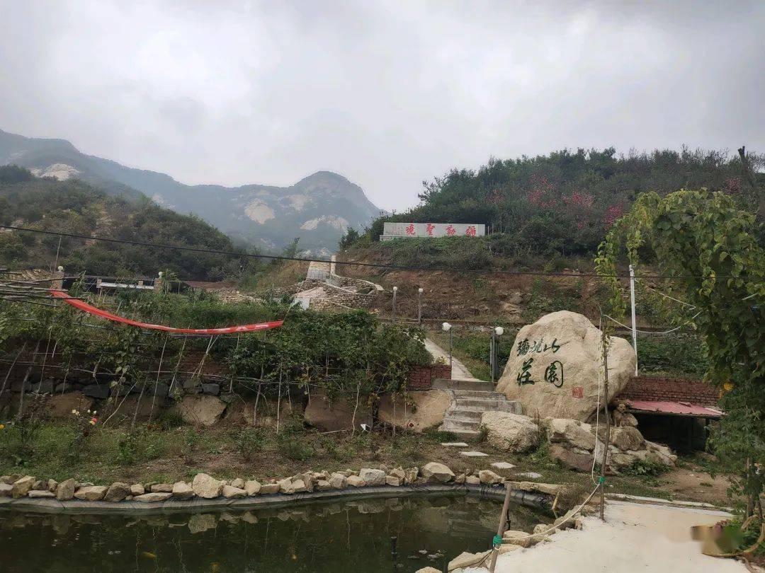 拯救精灵的土地9